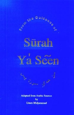 FROM THE GUIDANCE OF SURAH YA’ SEEN
