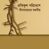 প্রতিকূল পরিবেশে দীনদারদের করণীয়