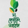দ্য কেয়ারিং ওয়াইফ
